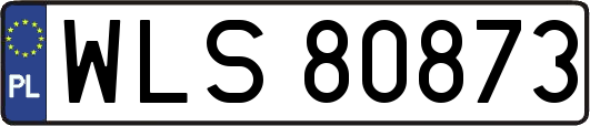 WLS80873