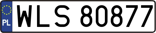WLS80877