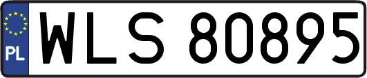 WLS80895
