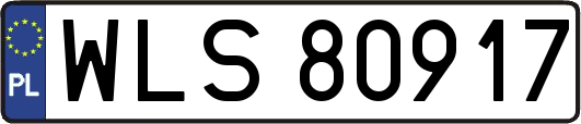 WLS80917