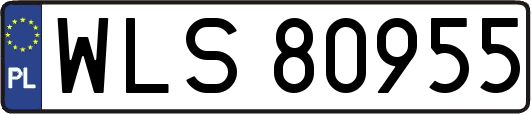 WLS80955
