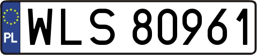 WLS80961