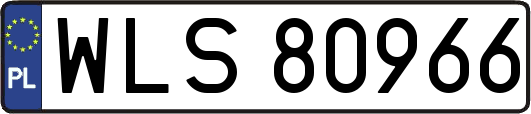 WLS80966