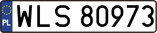 WLS80973
