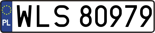 WLS80979