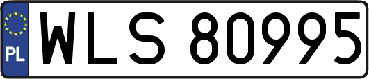 WLS80995