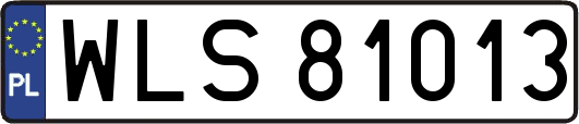 WLS81013