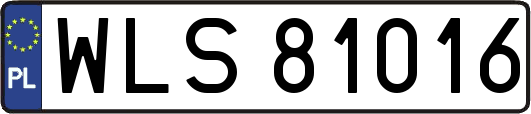 WLS81016