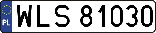 WLS81030