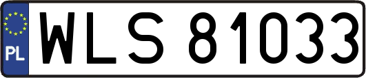 WLS81033