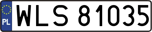 WLS81035