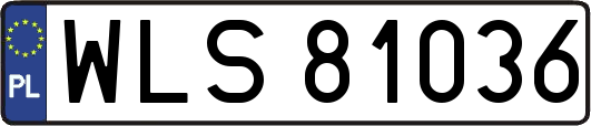 WLS81036