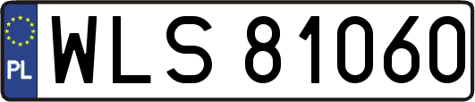 WLS81060