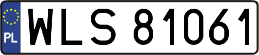 WLS81061