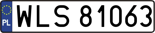 WLS81063