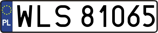 WLS81065
