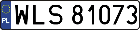 WLS81073