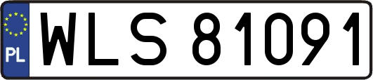 WLS81091
