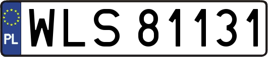 WLS81131