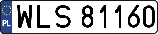 WLS81160