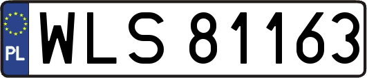 WLS81163