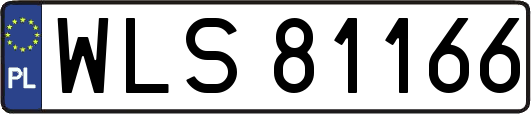 WLS81166