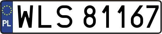 WLS81167
