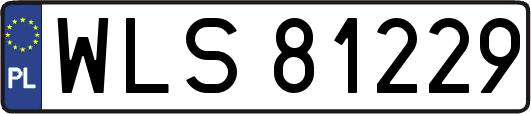 WLS81229