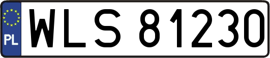 WLS81230
