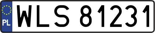 WLS81231