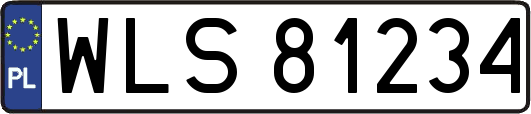 WLS81234