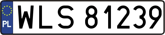 WLS81239