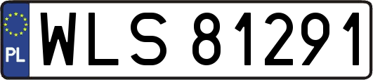 WLS81291