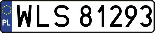 WLS81293