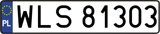WLS81303