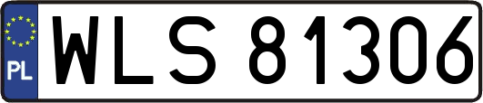 WLS81306
