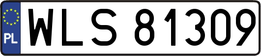 WLS81309