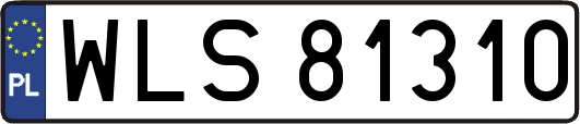 WLS81310