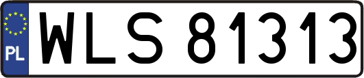 WLS81313