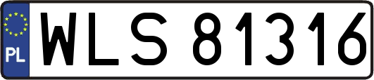 WLS81316