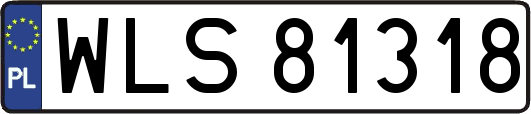 WLS81318