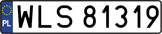 WLS81319