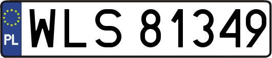 WLS81349