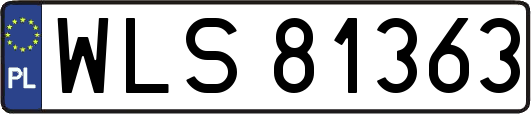 WLS81363