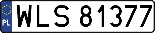 WLS81377