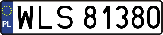 WLS81380