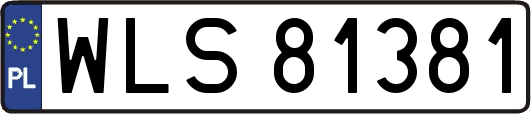 WLS81381
