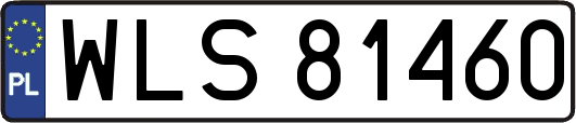 WLS81460