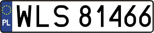 WLS81466