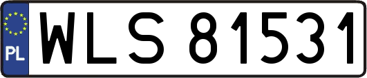 WLS81531